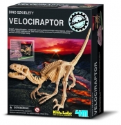 Dino szkielety Velociraptor (13234)
