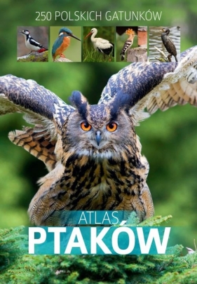 Atlas ptaków (Uszkodzona okładka) - Dominik Marchowski