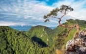 Kalendarz 2020 Trójdzielny Pieniny KT04