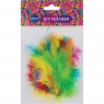 Piórka mix kolorów 80-150mm 30szt 81434
