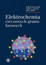 Elektrochemia cieczowych granic fazowych  Koczorowski Zbigniew, Figaszewski Zbigniew A., Petelska Aneta