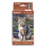 Puzzle mini 108 elementów Penmate Elegant Cat American Shorthair