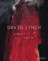 David Lynch : Someone Is in My House wer. angielska Stijn Huijts