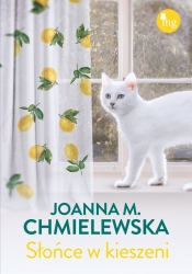 Słońce w kieszeni - Joanna Maria Chmielewska