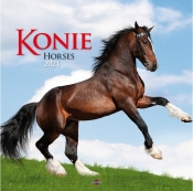 Kalendarz 2021 Konie