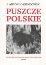 Puszcze polskie  Antoni Ferdynand Ossendowski