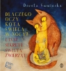 Dlaczego oczy kota świecą w nocy? I inne sekrety świata zwierząt Dorota Sumińska