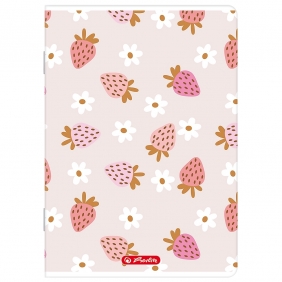 Zeszyt Herlitz A5/32k linia podwójna kolorowa, 1 szt