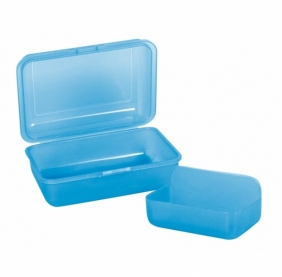 Coolpack, Śniadaniówka Frozen II - transparentna, niebieska (Z03991)