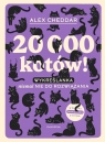 20 000 kotów! Wykreślanka niemal nie do rozwiązania Cheddar Alex