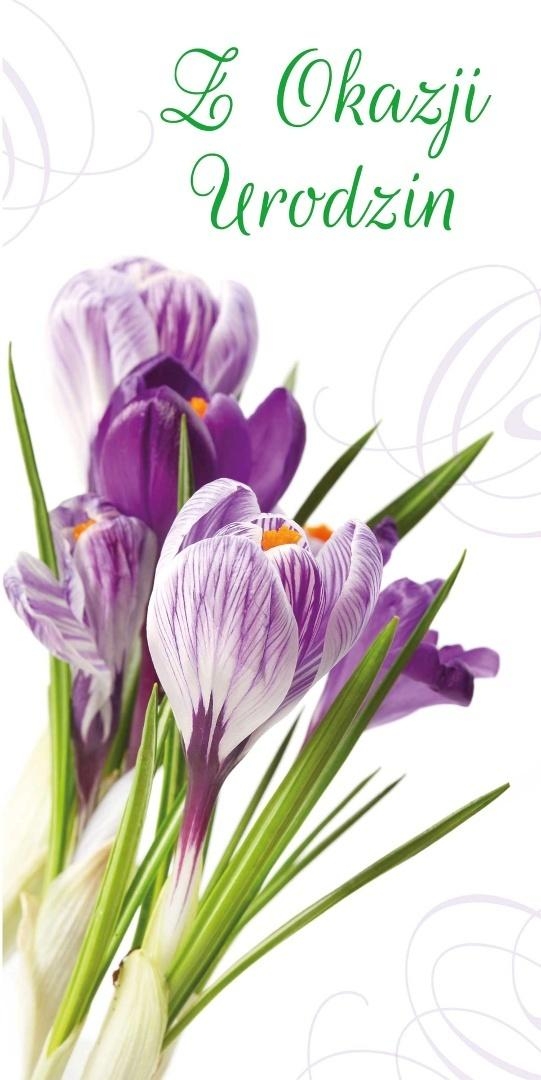 <img src='https://webimage.pl/pics/347/3/d5907582653028.jpg'>