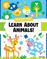Sticker Fun: Learn About Animals Powell Logan