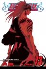 Bleach, Vol. 73: Battlefield Burning Kubo Tite