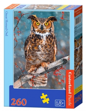 Puzzle 260: Great horned Owl