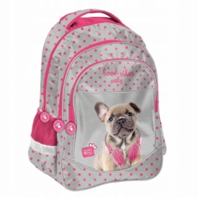 Plecak szkolny Studio Pets PES-181 PASO