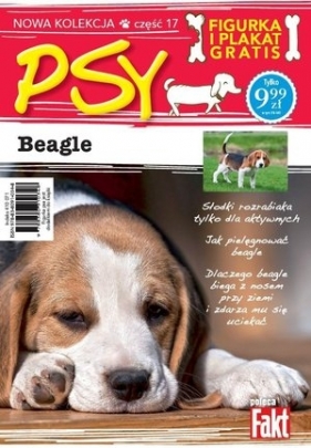 Beagle. Kolekcja Psy. Część 17. Fakt poleca (figurka + plakat) - Opracowanie zbiorowe