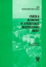 Osiedla blokowe w strukturze przestrzennej miast