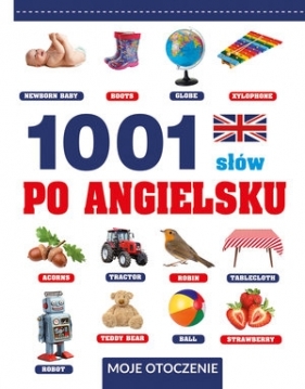 1001 słów po angielsku. Moje otoczenie - Laura Aceti
