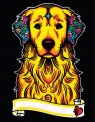  Kolorowanka Welwetowa A4 Golden Retriever