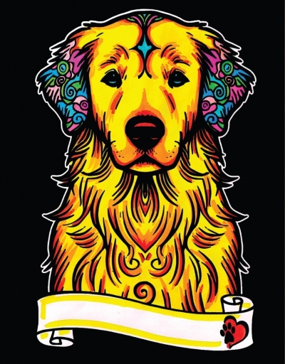 <img src='https://webimage.pl/pics/349/0/d8024238050349.jpg' style='height:440px' /> Kolorowanka Welwetowa A4 Golden Retriever