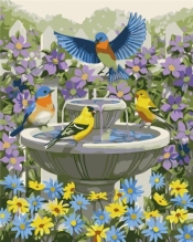 Malowanie po numerach - Ptaki na fontannie 40x50cm
