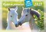 Kalendarz 2021 Rodzinny Konie w plenerze WL10