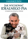 Jak wychować idealnego psa W okresie szczenięcym i później Millan Cesar, Jo Peltier Melissa