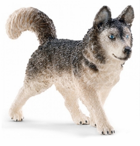 Husky - 16835