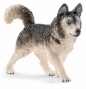 Husky - 16835