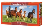 Puzzle 600 Horse Paradise (B-060351)