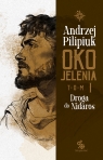  Oko Jelenia. Droga do Nidaros
