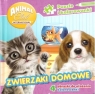 Animal Club. Zwierzatka domowe Opracowanie zbiorowe