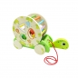 Smily Play, Żółw sorter do ciągnięcia (DT6073)
