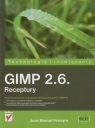 GIMP 2.6. Receptury Technologia i rozwiązania Ferreyra Juan Manuel