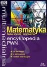 Multimedialna encyclopedia PWN Matematyka, fizyka, chemia, informatyka