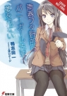 Rascal Does Not Dream of Bunny Girl-senpai, Vol. 1 (light novel) Hajime Kamoshida