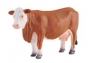 Krowa rasy hereford L