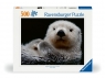 Ravensburger, Puzzle 500: Wydra (12000235) Wiek: 12+