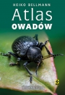  Atlas owadów w5