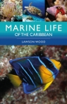 Marine Life of the Caribbean Lawson Wood