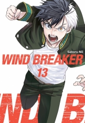 Wind Breaker #13 - Satoru Nii