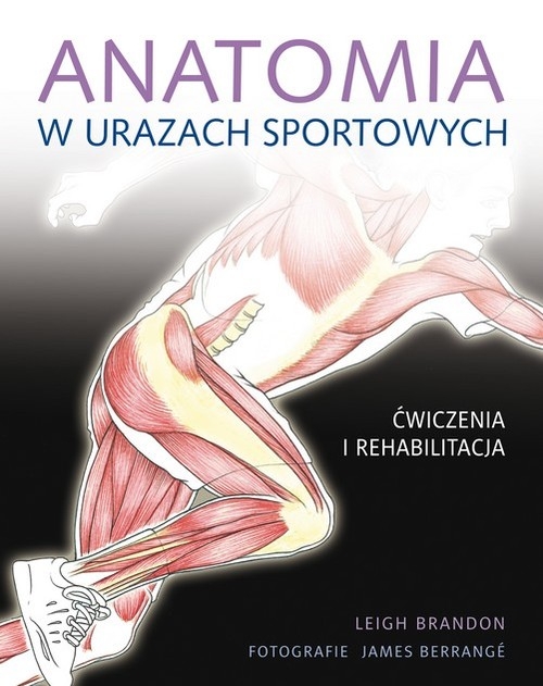 Anatomia w urazach sportowych