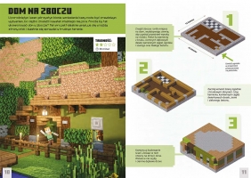Niesamowite kompaktowe konstrukcje. Minecraft - Kwan Sherin, Wiltshire Alex, Bengtsson Milo