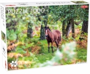Puzzle 1000: Wild Horses, New Forest (56235)