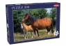 Puzzle 500: Horses (53335) Wiek: 8+