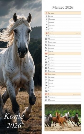 Kalendarz 2026 ścienny pasek Konie
