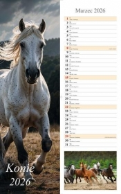 Kalendarz 2026 ścienny pasek Konie