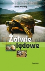 Żółwie lądowe