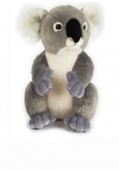 Plusz Basic Koala (770835)