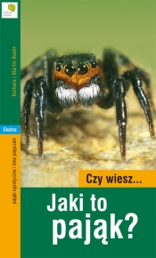 Czy wiesz? Jaki to pająk?